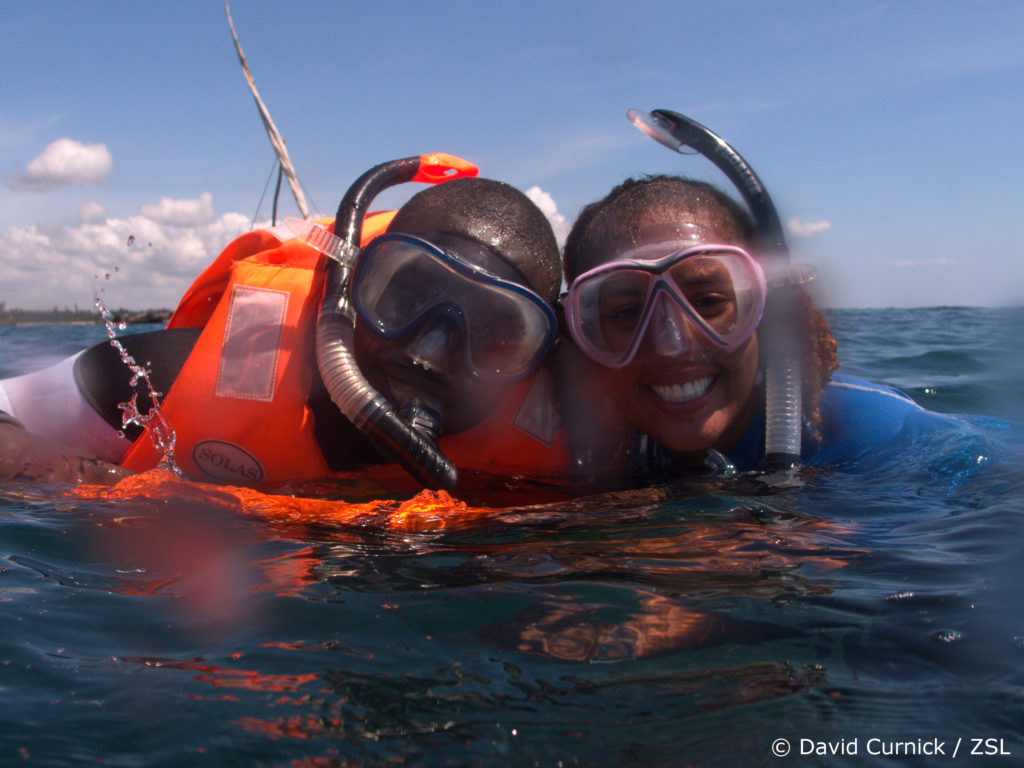 Passion for Pillar Coral - EDGE of Existence