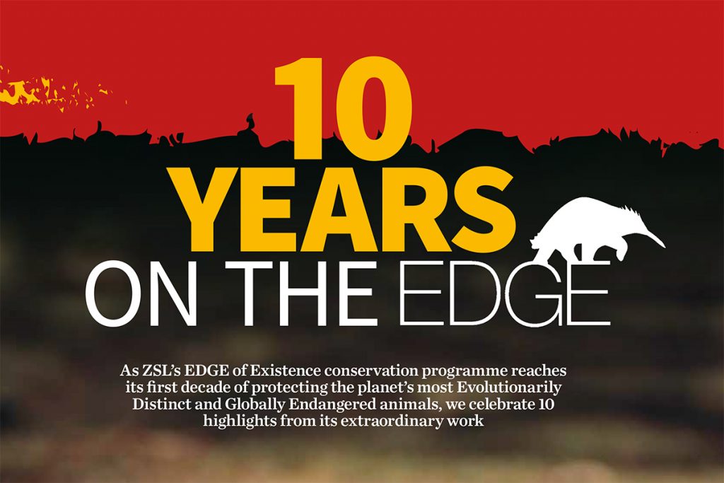 10 Years on the EDGE